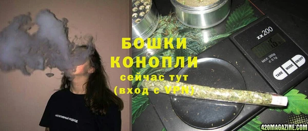 дживик Белокуриха