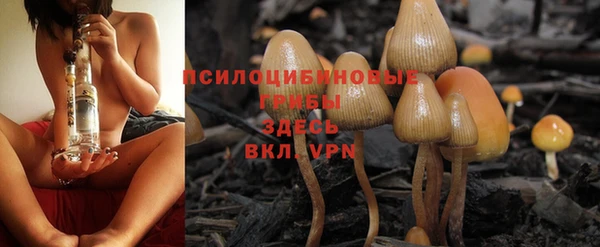 дживик Белокуриха