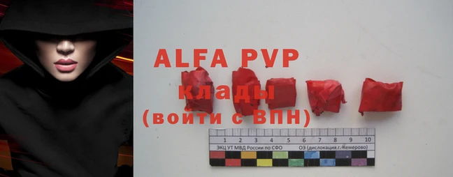 дживик Белокуриха