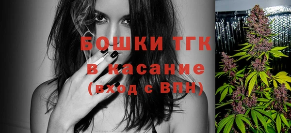 дживик Белокуриха