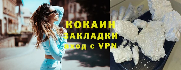 дживик Белокуриха